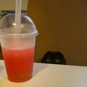 Meet your Posher, Neil